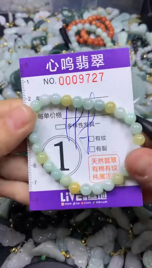 【闪购商品】翡翠颈饰未镶嵌闪购009727