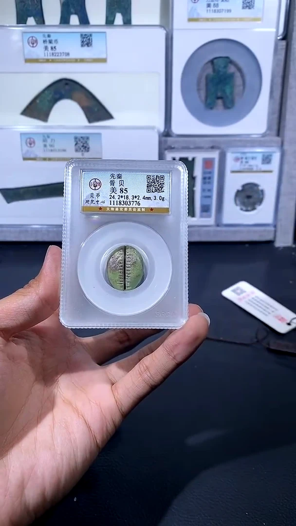 【闪购商品】铜琪珍 骨贝骨贝一枚