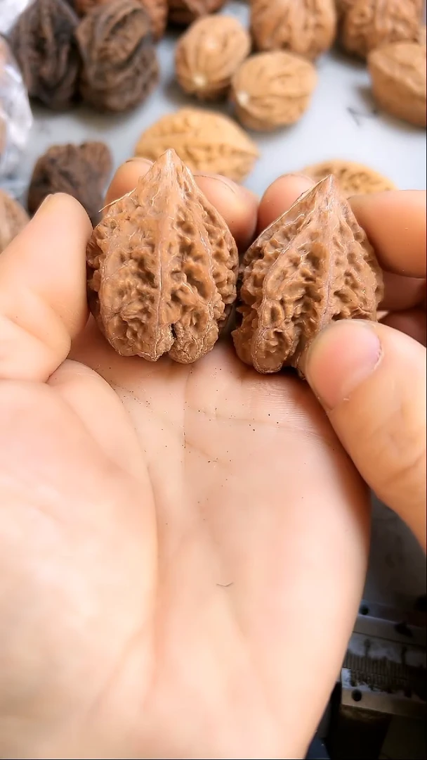 核桃东北野生大秋子4