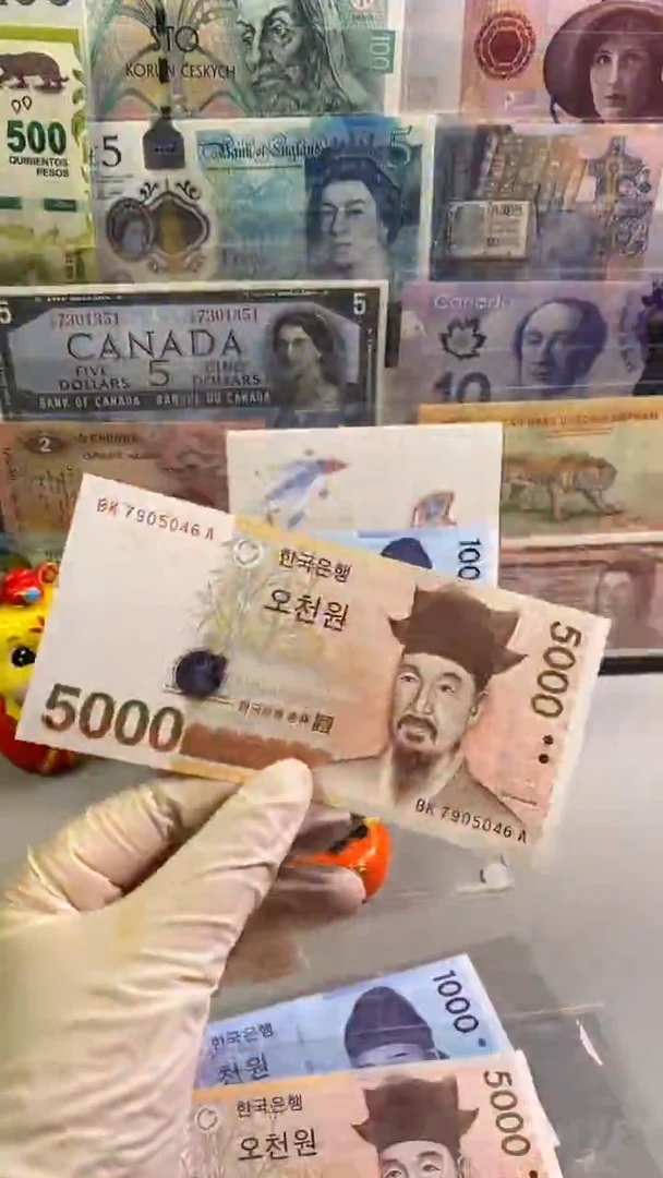 纸币韩国5000 纸币