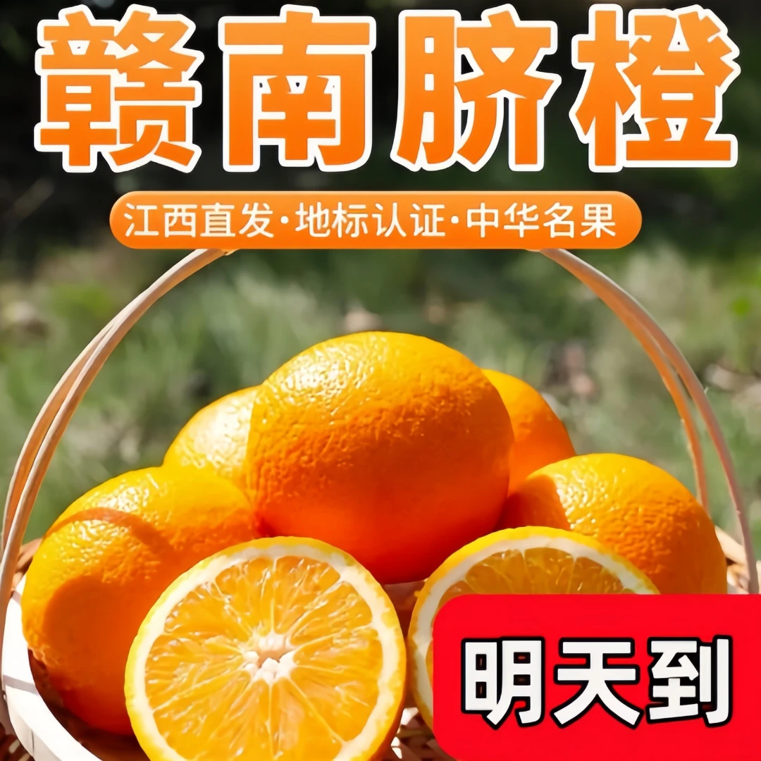 【明日达】正宗江西赣南早脐橙新鲜现摘头茬甜橙当季精品水果产地直发今天拍，明天到橙子ZY11/20江西省