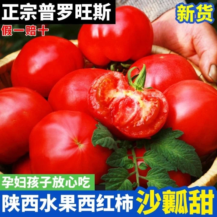 正宗普罗旺斯西红柿陕西产地直发番茄水果当季新鲜沙瓤洋柿子热卖