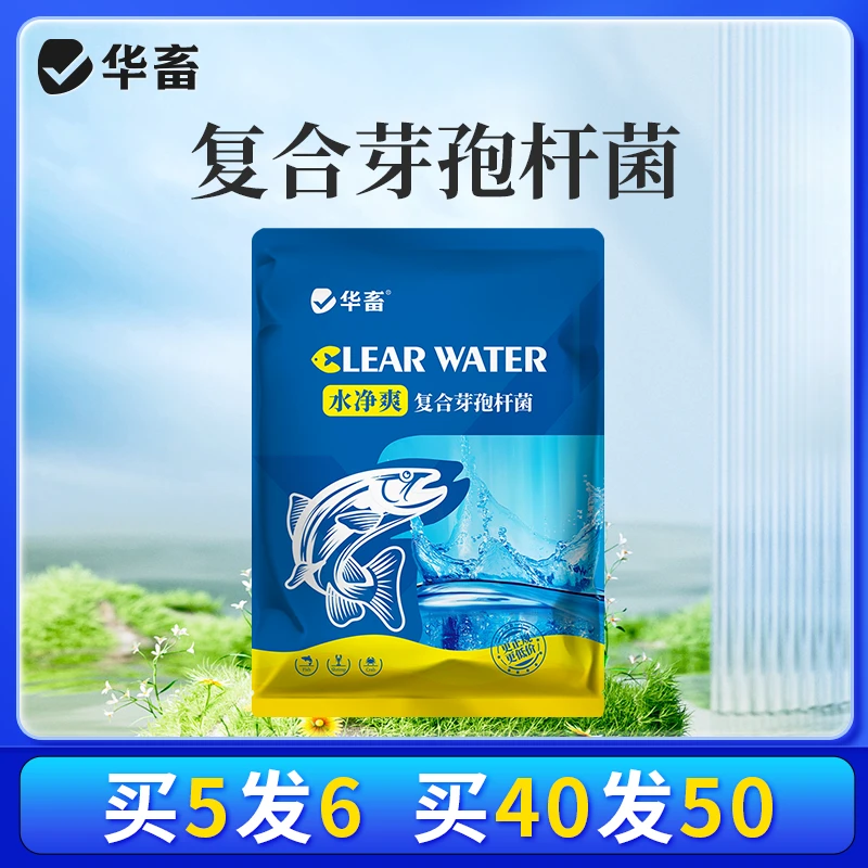 【拍5发6】复合芽孢杆菌水净爽免红糖水产养殖专用调水净水饲料s