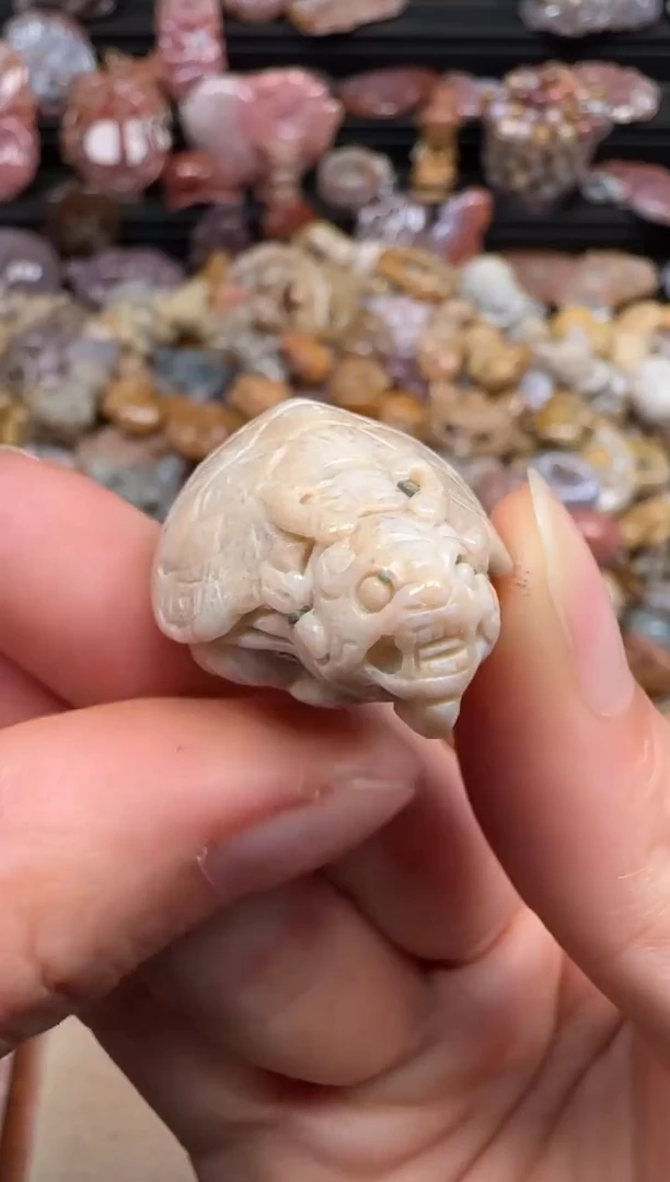 【闪购商品】硅化珊瑚（珊瑚玉）颈饰未镶嵌121