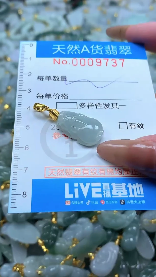 颈饰未镶嵌翡翠净货挂件-9737