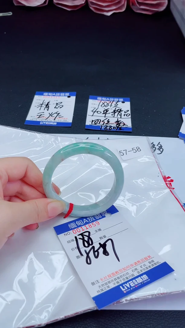 未镶嵌手镯翡翠11111111