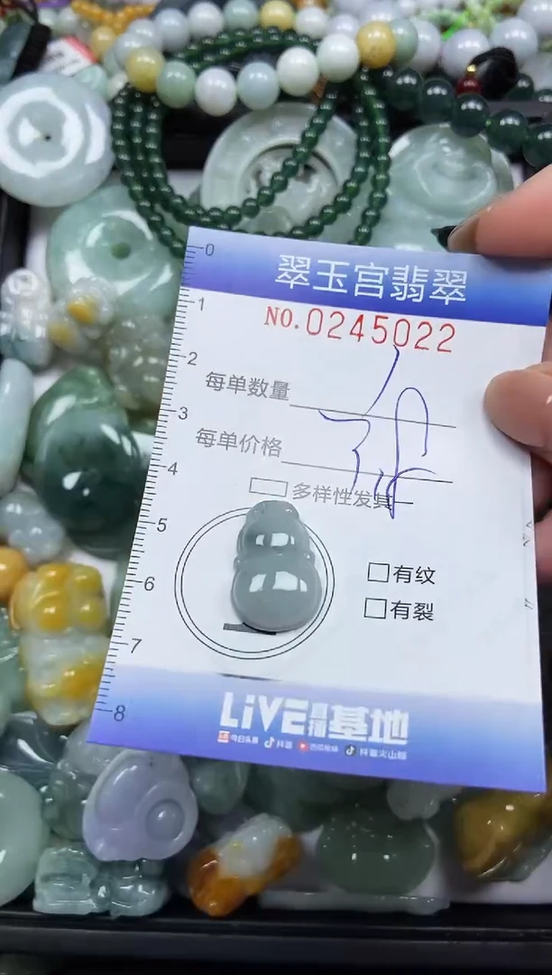 颈饰未镶嵌翡翠闪购C0245022