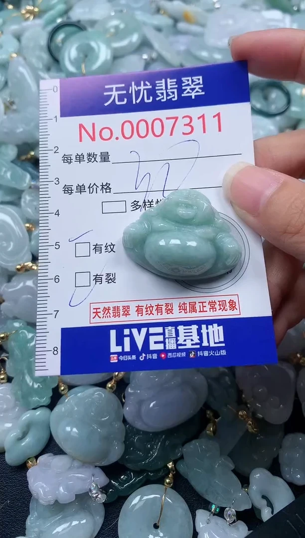 颈饰未镶嵌翡翠7311