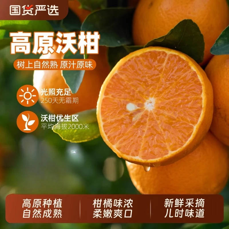 【云南高原沃柑带箱5斤】新鲜沃柑果园现摘现发整箱包甜蜜多汁爽口