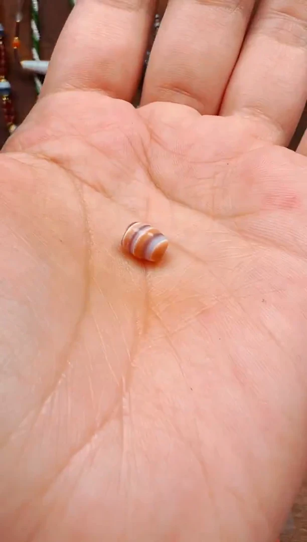 【肖钟出品】东南亚配珠