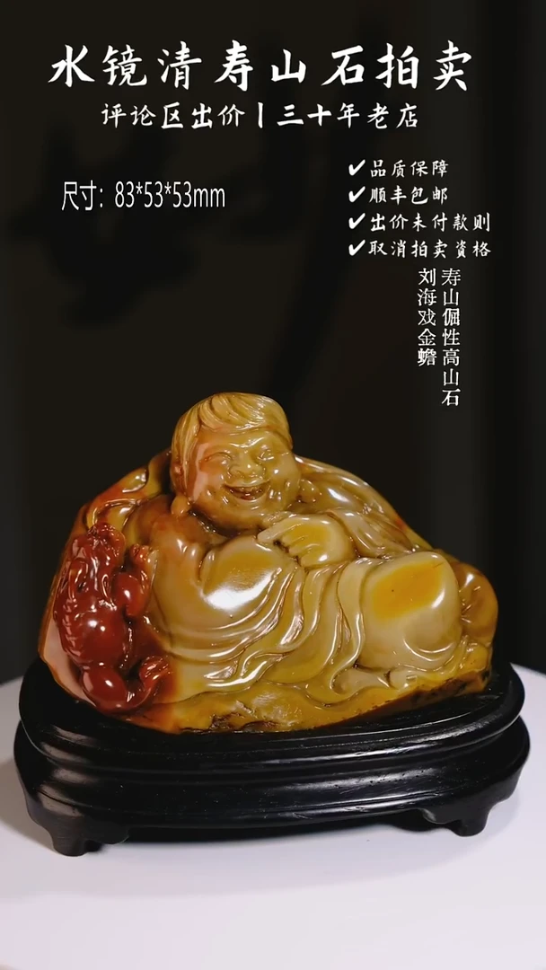 寿山石印石上**风寿山倔性高山石 刘海戏金蟾
