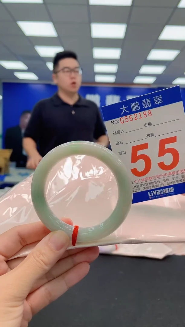 未镶嵌手镯翡翠AAAAAAAAA