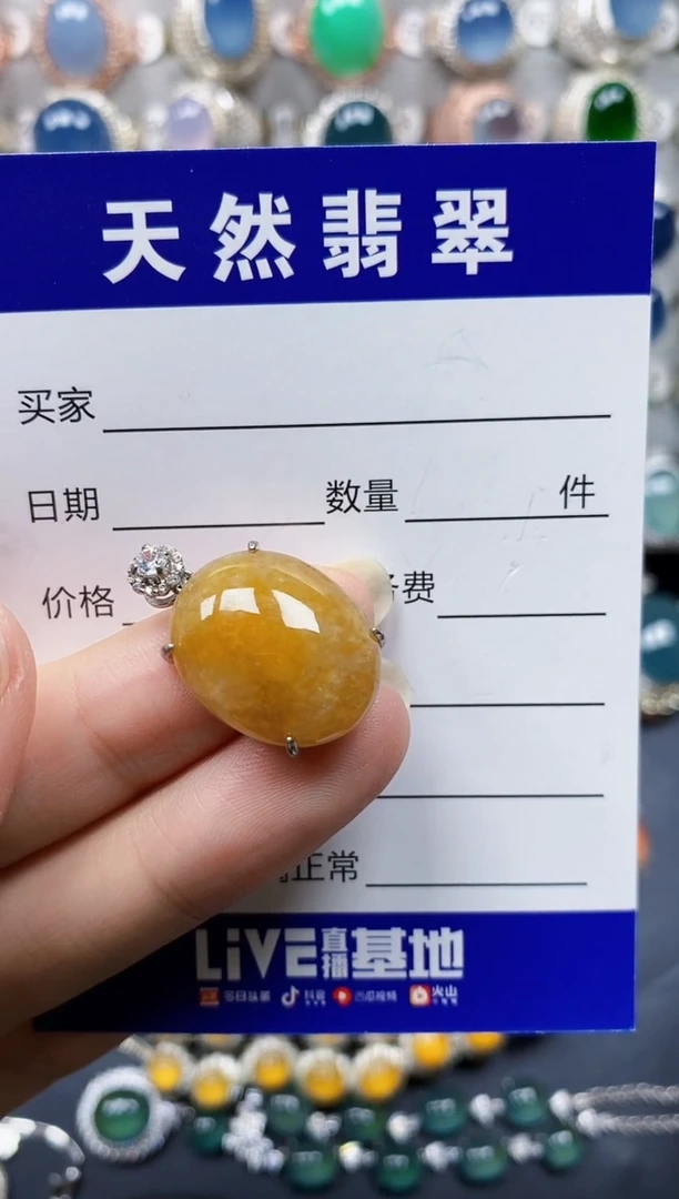 翡翠银S925镶嵌颈饰475