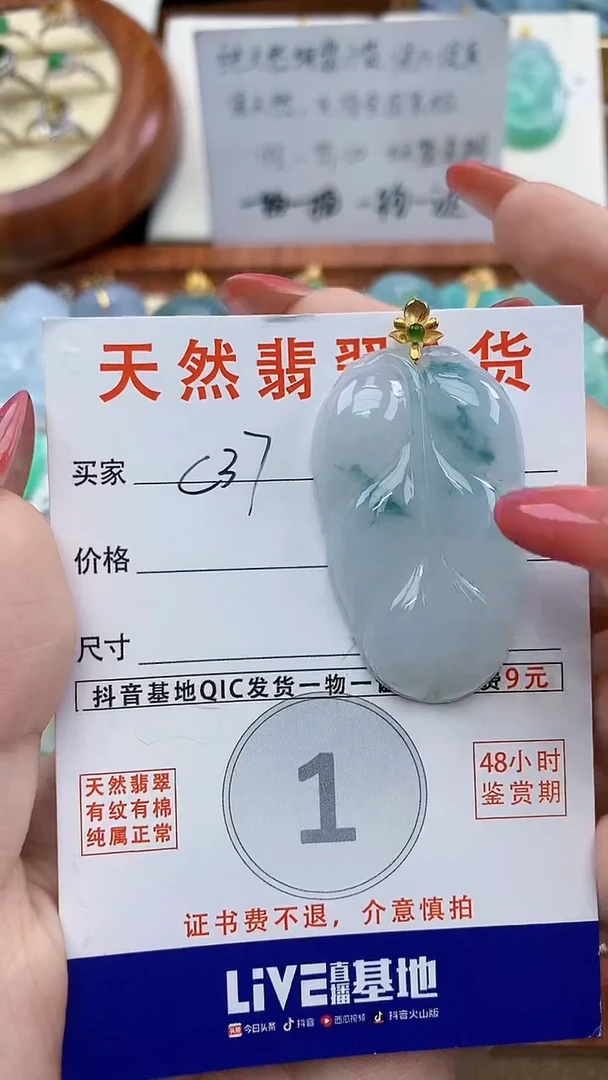 颈饰未镶嵌翡翠天然A货翡翠挂件