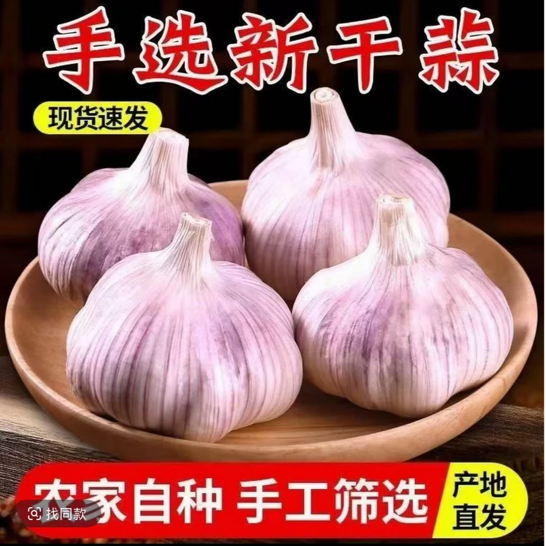 正宗紫皮独头大蒜新鲜干蒜产地直发炒菜提香