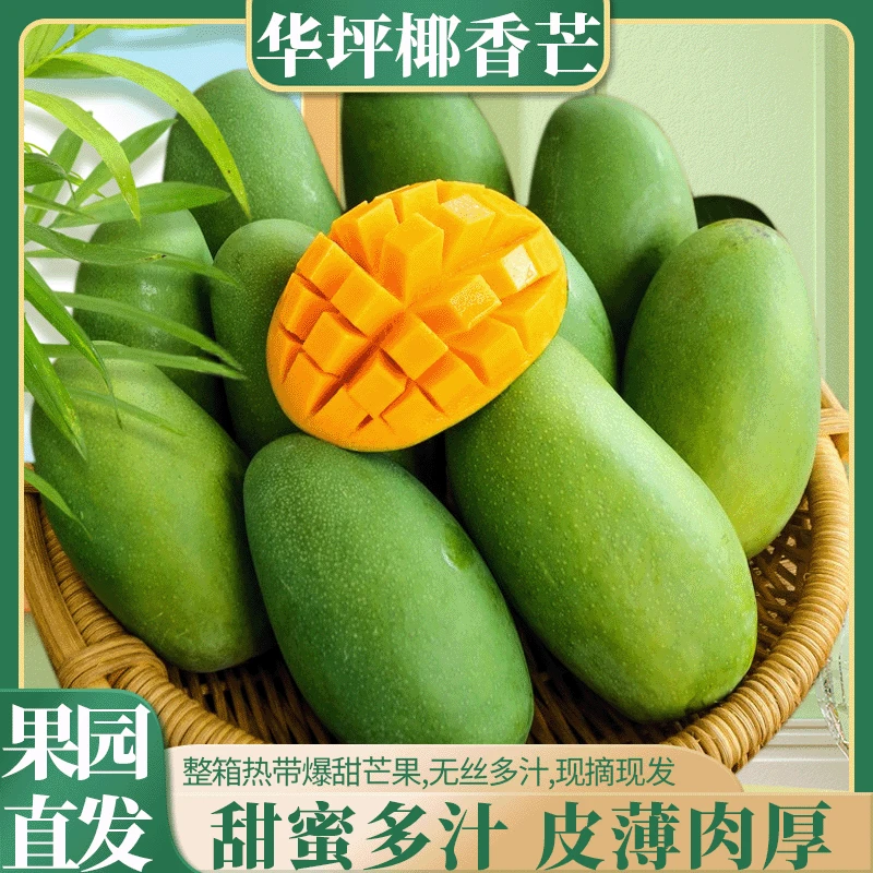 【椰香芒果】椰香浓郁皮薄肉厚核小无丝不咔牙鲜甜新鲜果园现摘包邮
