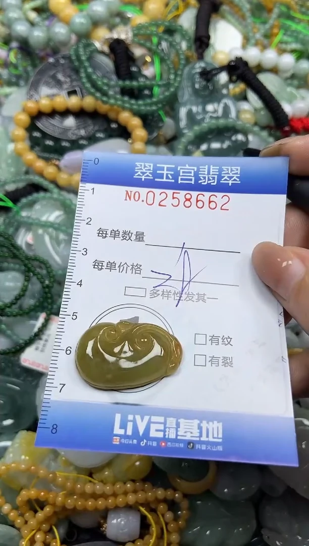 颈饰未镶嵌翡翠闪购C0258662