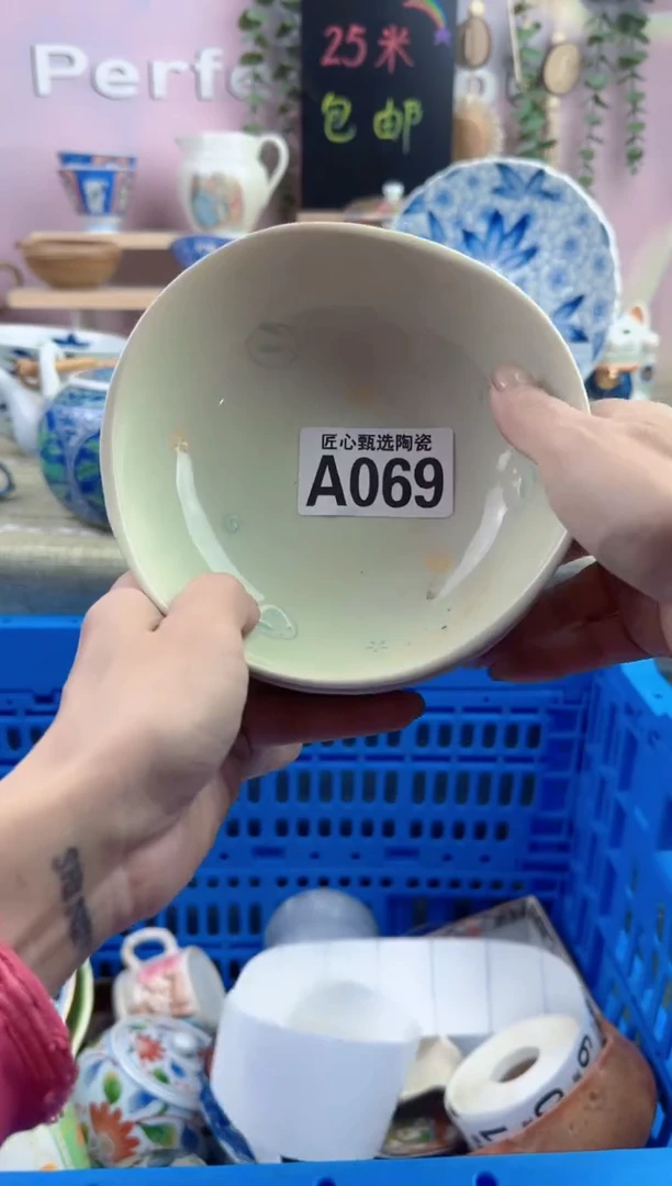 瓷片         A069