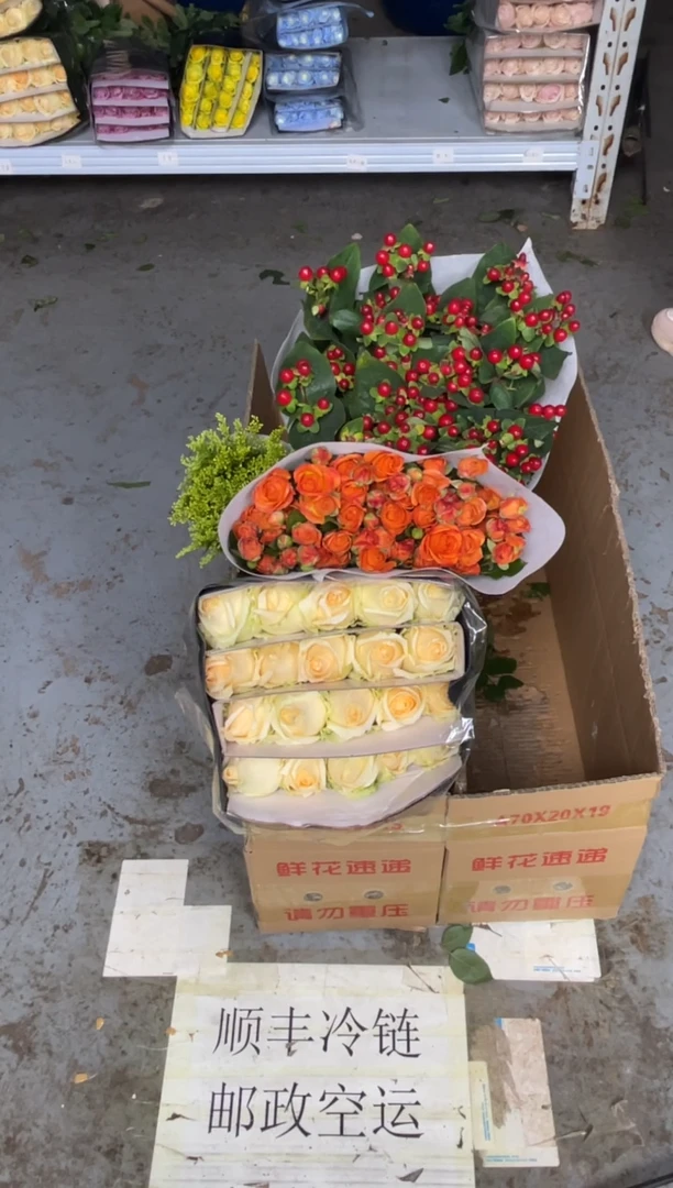 香槟20枝+橙色芭比10枝+红豆+黄莺