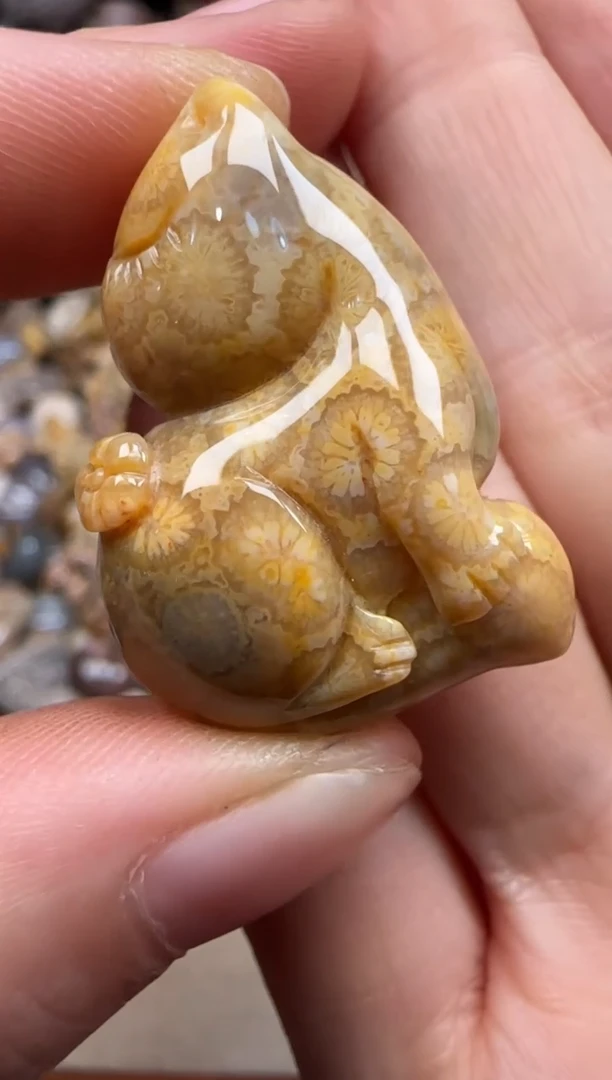 【闪购商品】硅化珊瑚（珊瑚玉）颈饰未镶嵌041