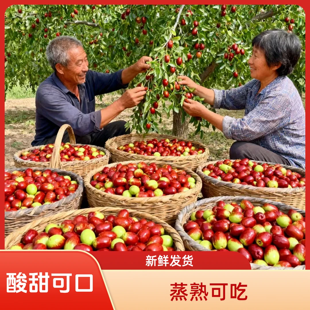 柳林三交黄河滩自然鲜枣木枣脆枣5斤酸甜可口生吃蒸吃天然硬枣