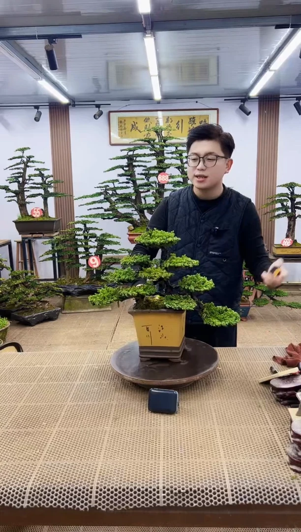 【闪购商品】一物一拍，所见即所得
