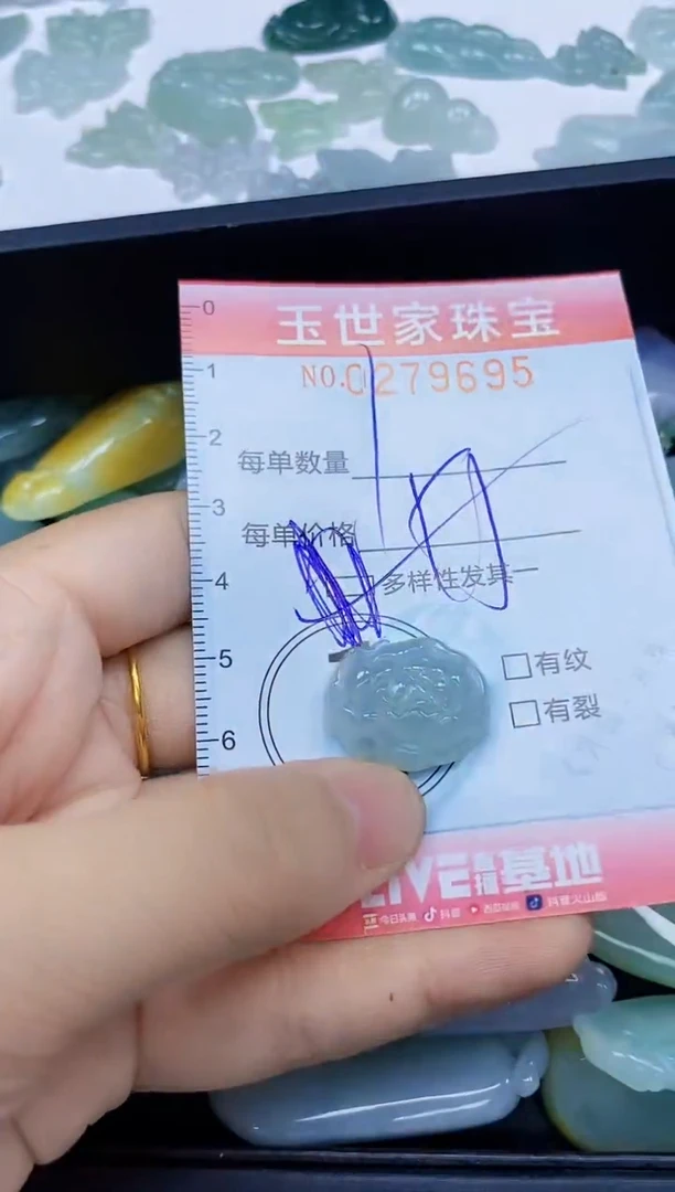 翡翠未镶嵌颈饰闪购0279695