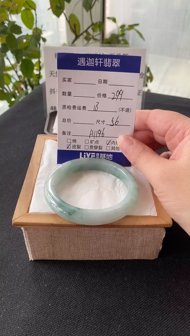 未镶嵌手镯翡翠56圈口 A1196编码