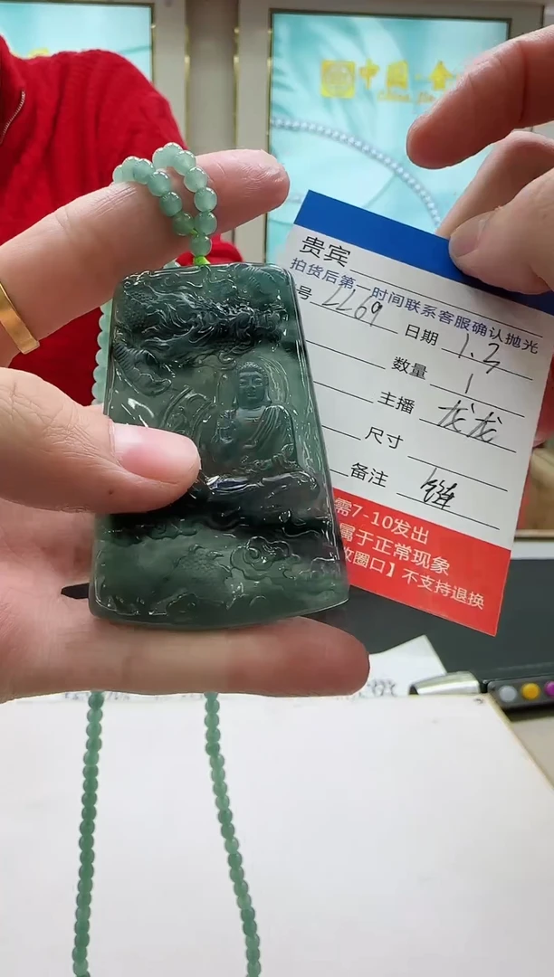 未镶嵌定制翡翠LL69翡翠吊坠赠珠链-多样性发其一