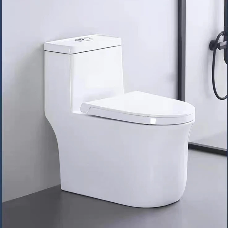 升级版动力十足五孔超炫冲水无唇边设计防冻裂节能家用马桶X580