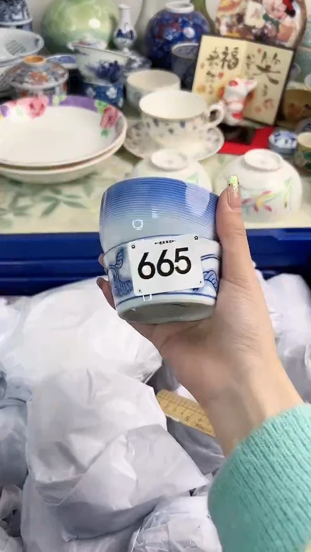 【闪购商品】瓷片665............