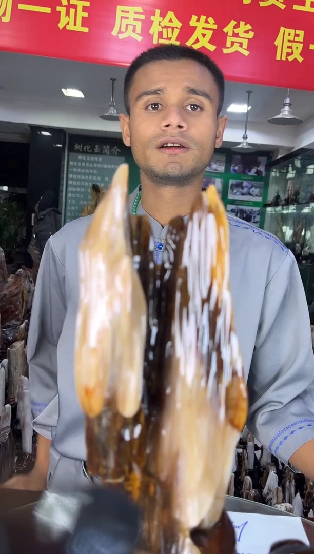 未镶嵌珠宝奇石硅化玉缅甸天然树化玉摆件