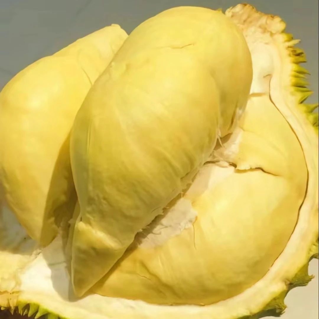 69.9一个泰国金枕巴掌金枕鲜榴莲 软糯丝滑  核小肉多3-3.5斤 【榴莲小时达】金枕泰国