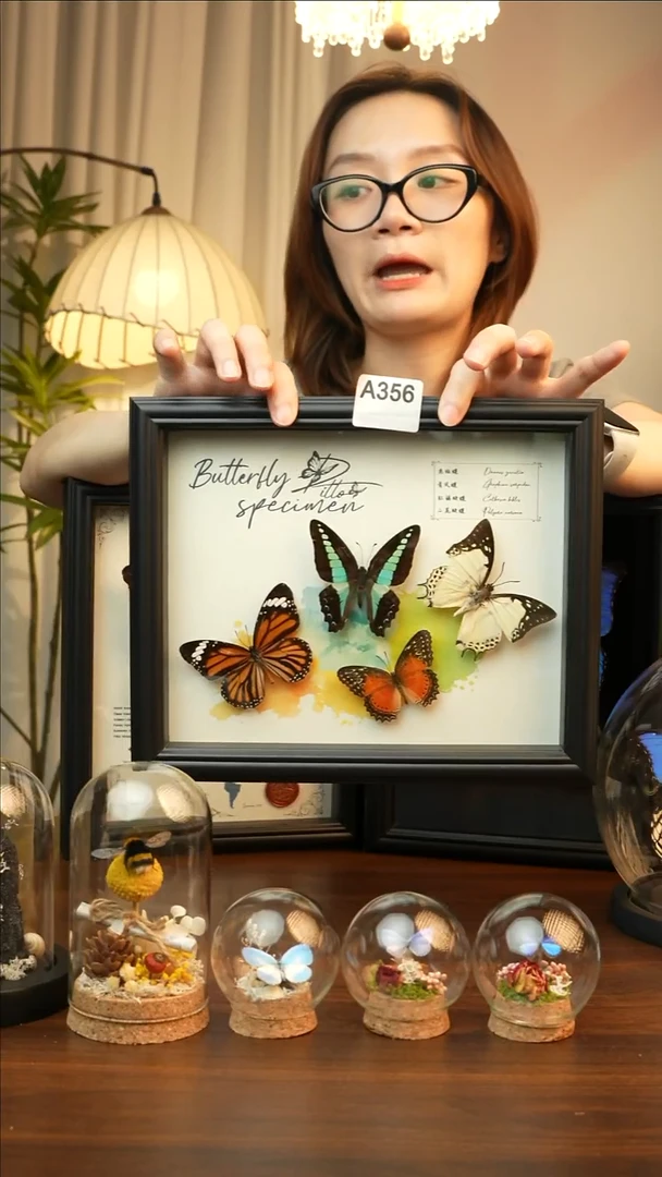 四色蝴蝶组合（10寸欧式黑框）A356