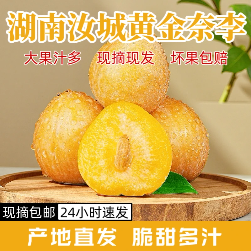 正宗湖南汝城黄金奈李新鲜李子现摘现发应季水果甜脆多汁脱骨李