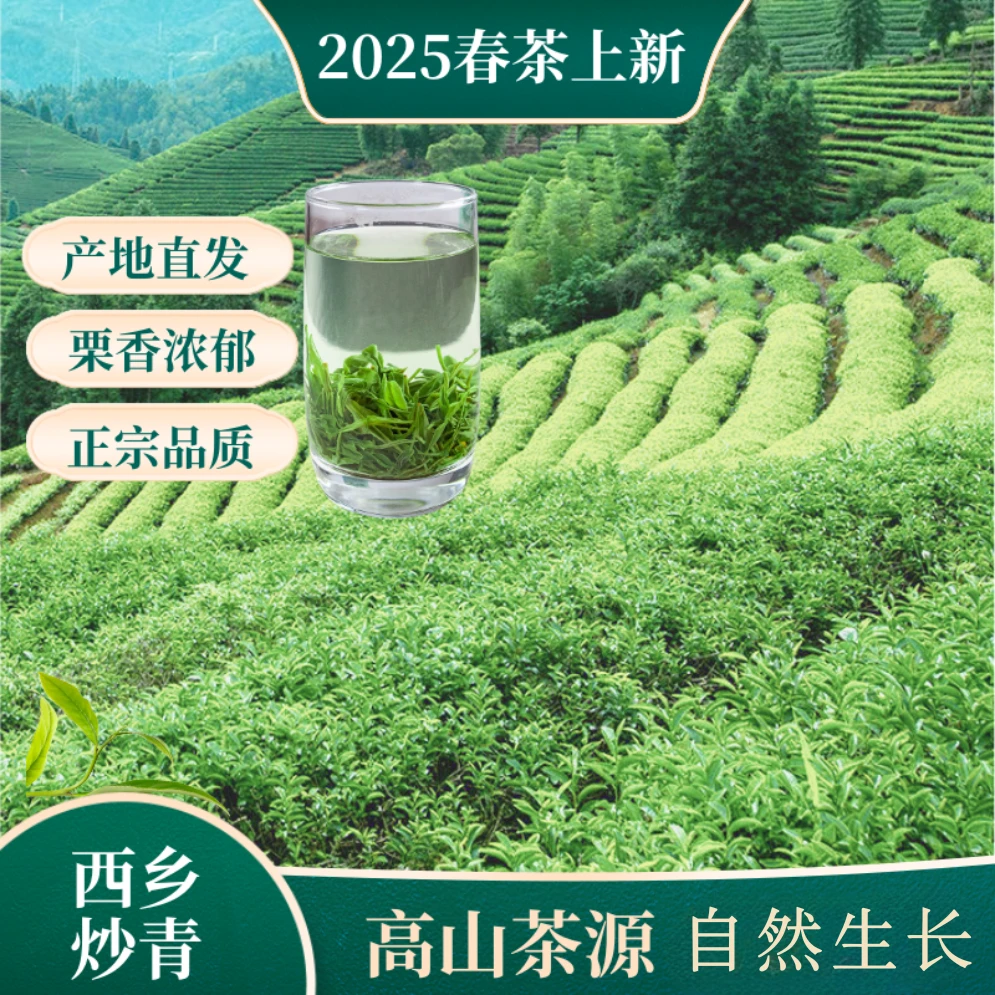 【2025春茶季浓香型炒青】汉中西乡新茶精选源产地高山绿茶茶叶