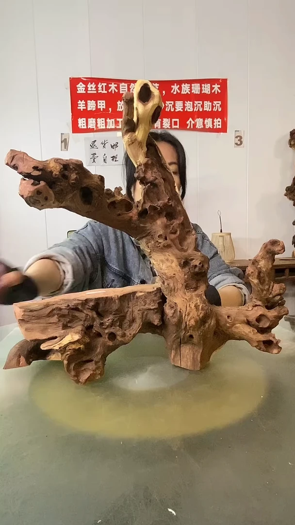 木東*叟金丝红木 羊蹄甲