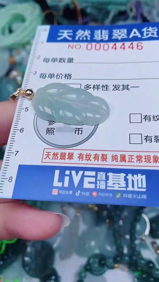翡翠未镶嵌颈饰00004446