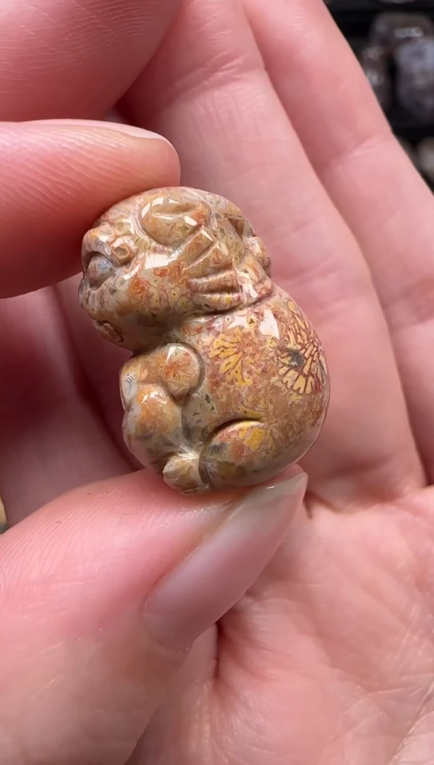 颈饰未镶嵌硅化珊瑚（珊瑚玉）811