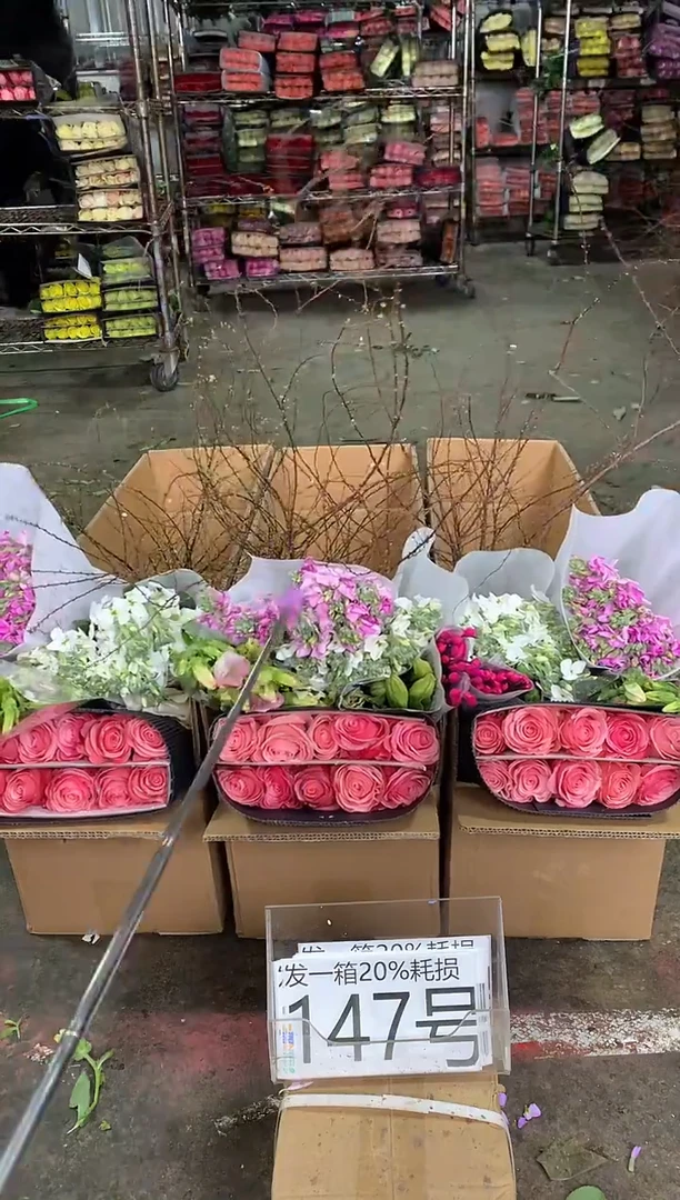 147号♥中通含20%耗损发一箱鲜花