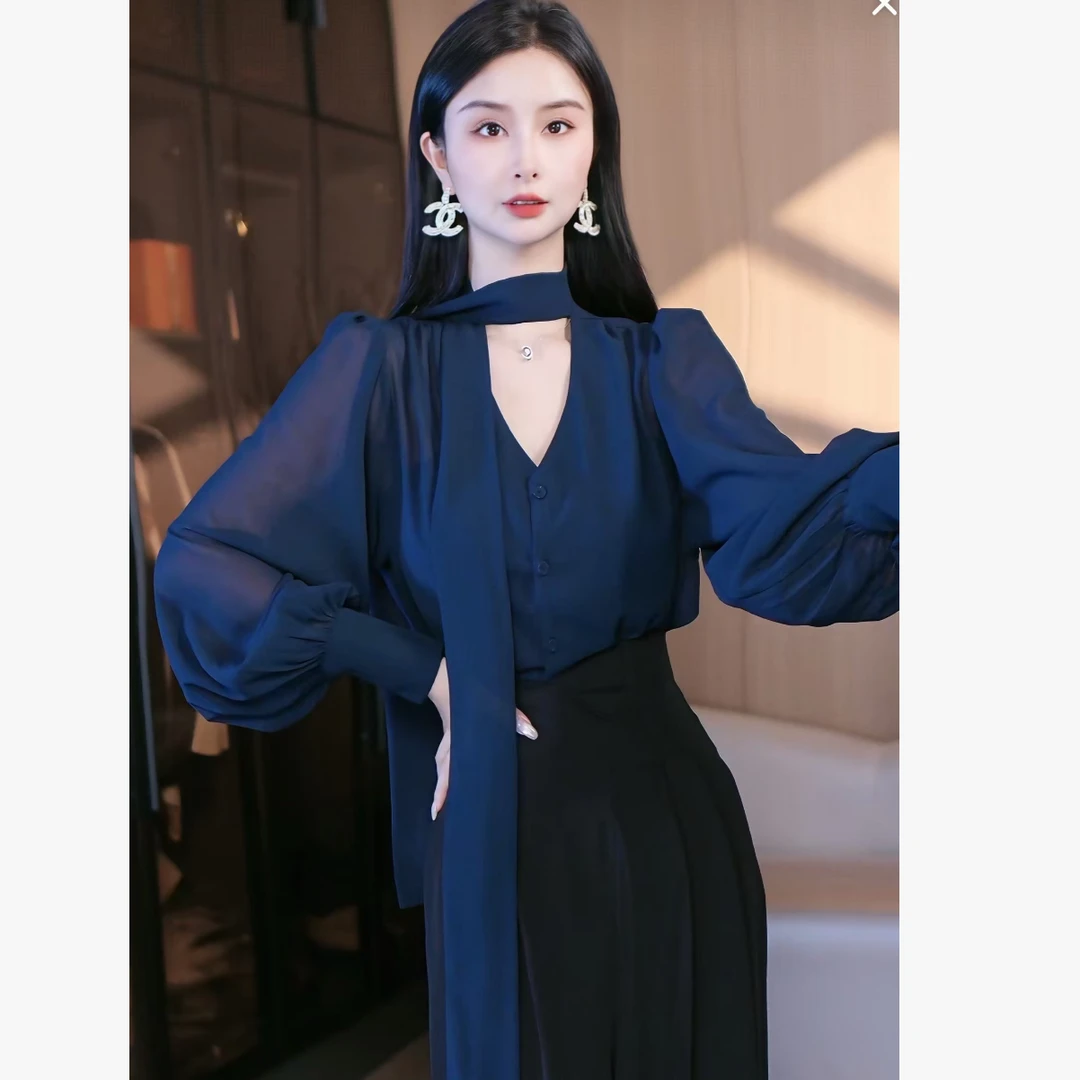 刘欣服饰 2025新款秋装气质显瘦时尚网红长袖轻奢百搭上衣3961