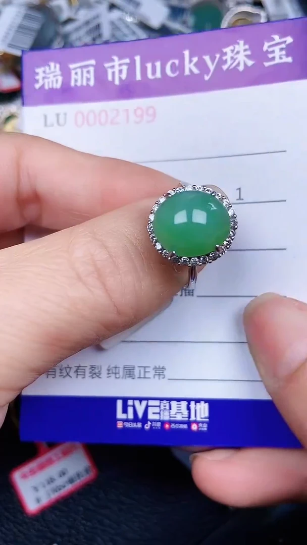 颈饰银S925镶嵌翡翠2199