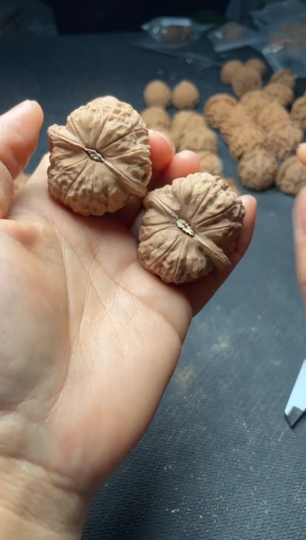 核桃w288   南瓜墩 40尺