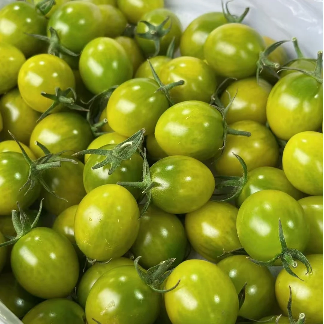 【超级好吃】青翠小番茄一件2斤装