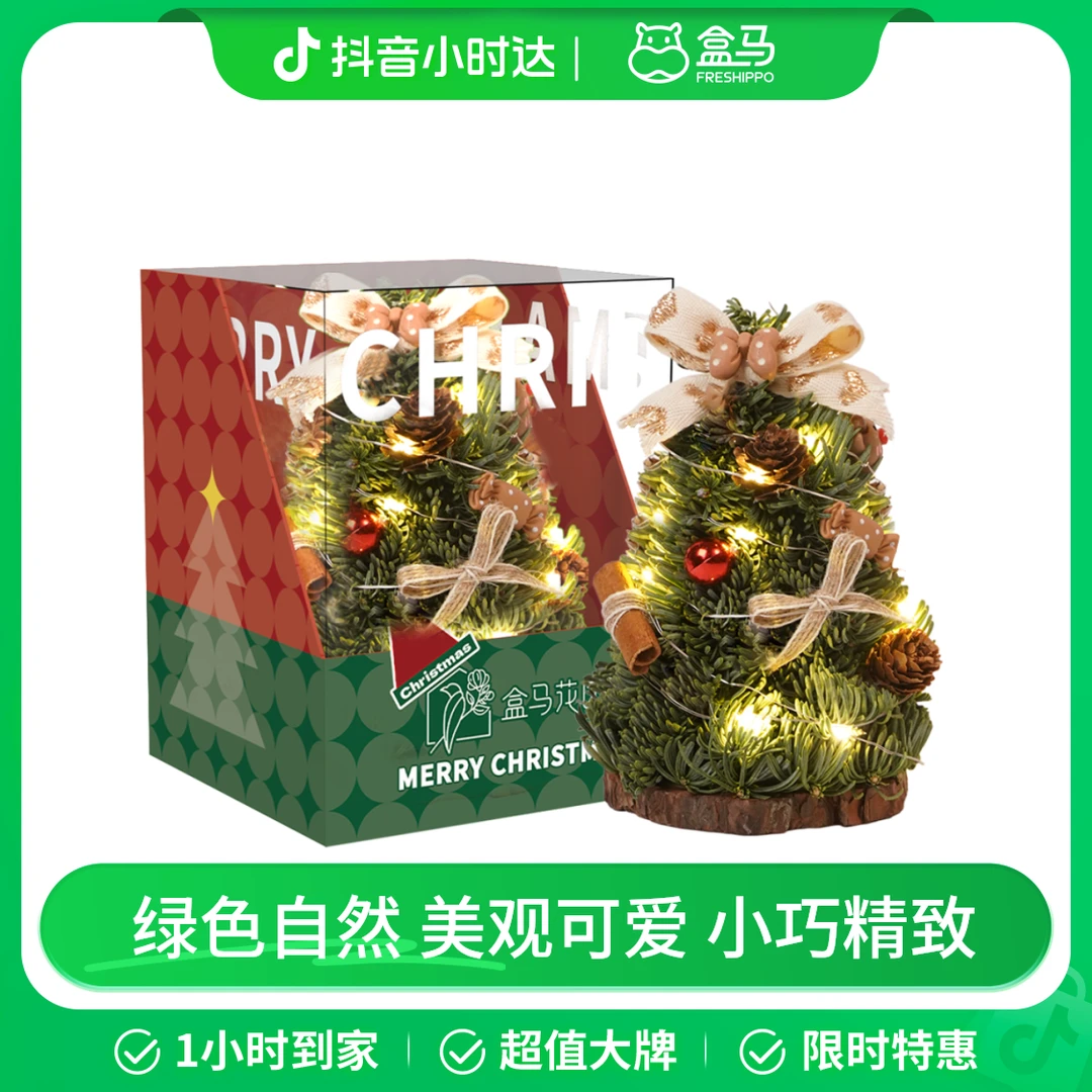 圣诞节 诺贝松迷你圣诞树