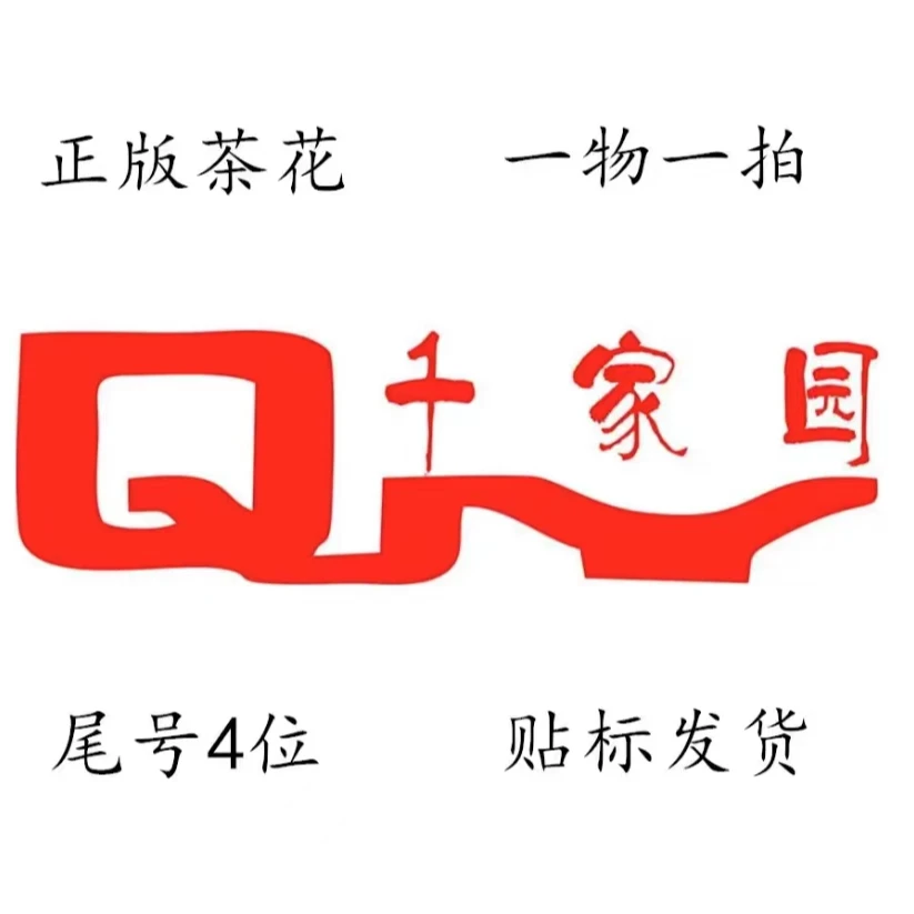 【千家园直播间一物一拍】福建正版茶花盆栽香妃十八学士山茶花树苗