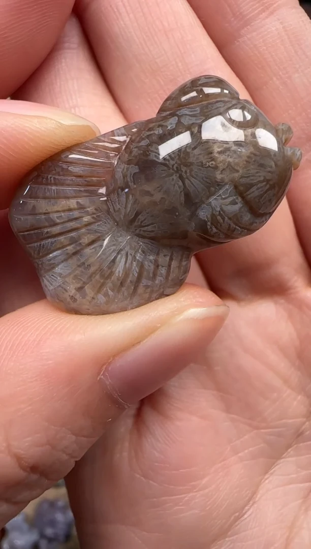 硅化珊瑚（珊瑚玉）未镶嵌颈饰227