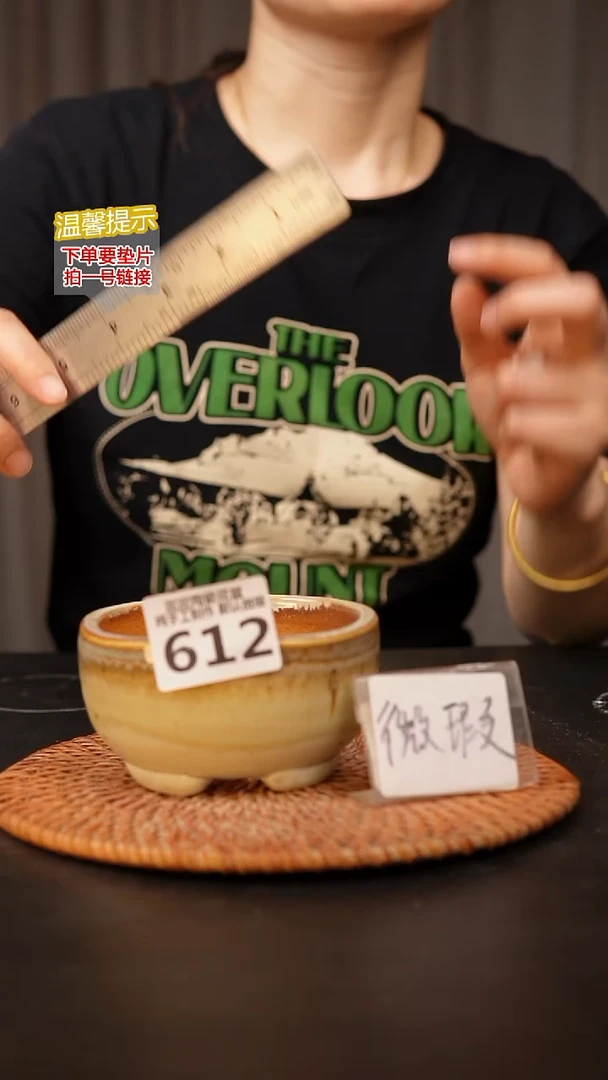 瓷片612默认微瑕 口约9  高约5.5