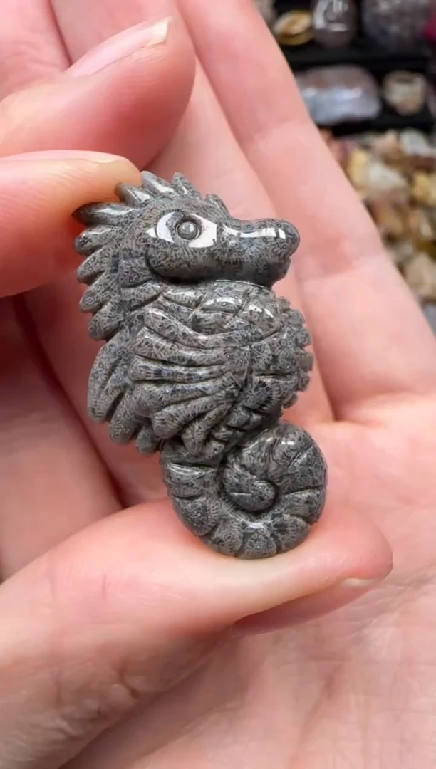 颈饰未镶嵌硅化珊瑚（珊瑚玉）382