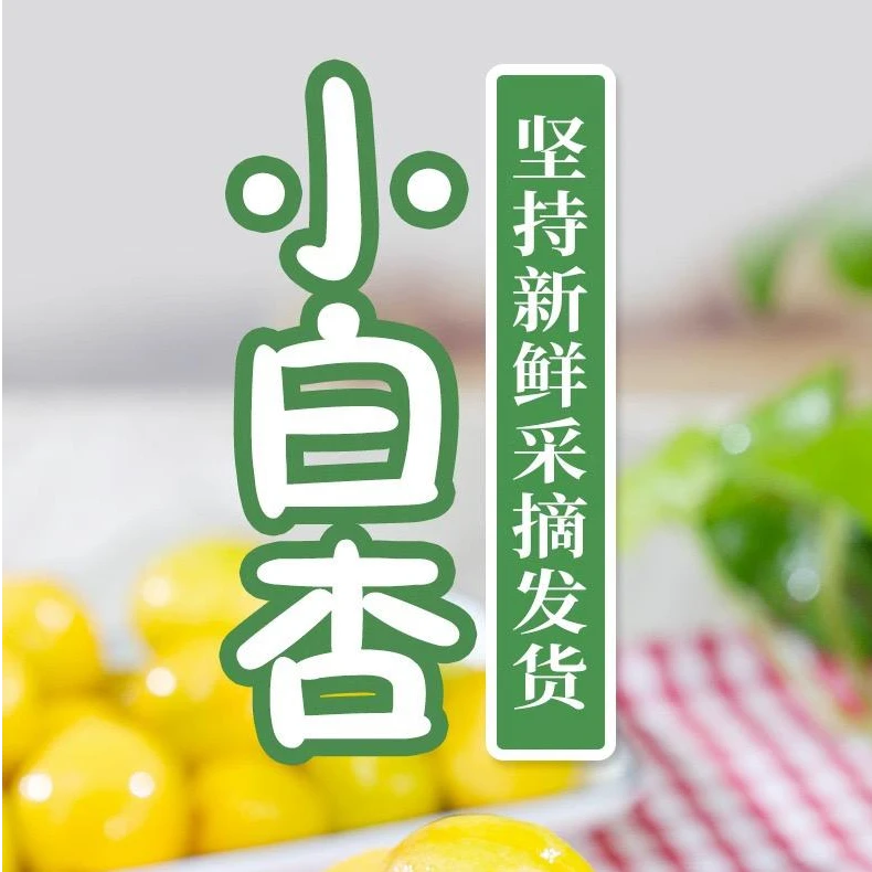 【丽丽汗】新疆正宗小白杏纯甜无酸爆汁现摘现发包邮